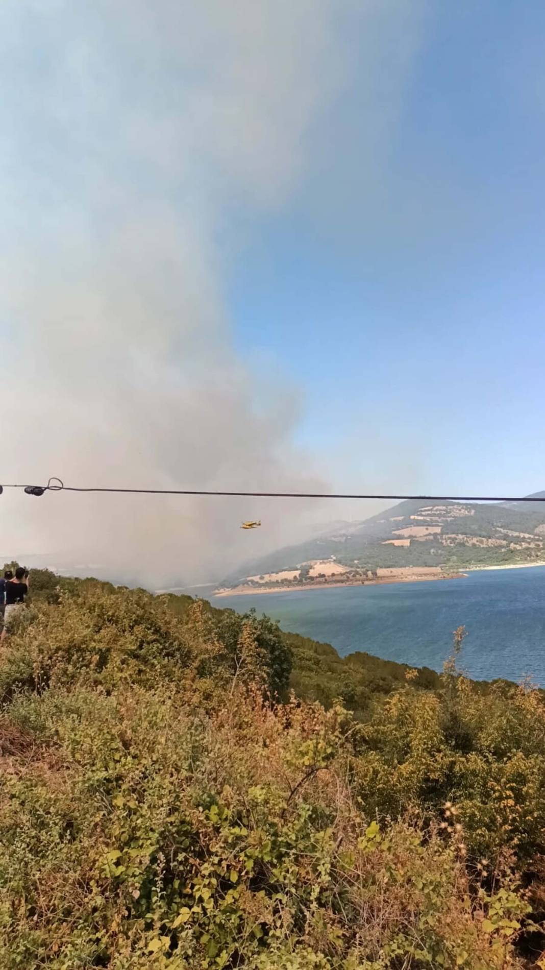 Çanakkale'de orman yangını: Havadan karadan müdahale ediliyor 2